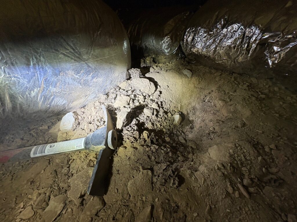 Termite nest found under a house during an inspection in Bendigo