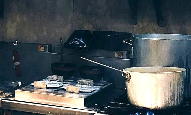 Commercial kitchen pest management program in Central Victoria