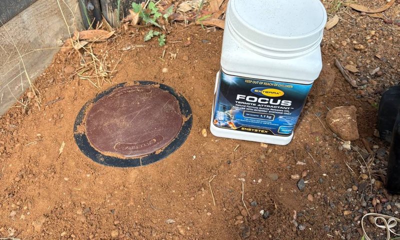 In-ground termite bait station at a Bendigo property