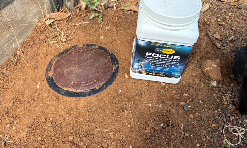 Pre-construction termite station at a Bendigo property